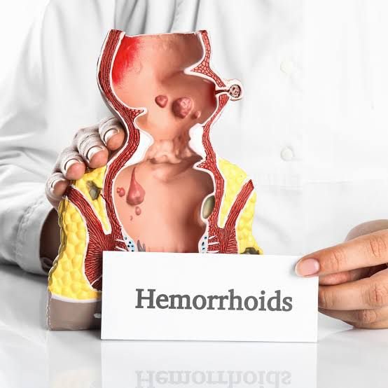 WhatsApp Image 2025-10-31 at 09.36.31_e1eaeeeb